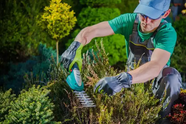 landscaping services Edgar
